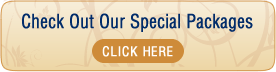 Leisure Packages Banner Check Out Our Special Packages - Click Here