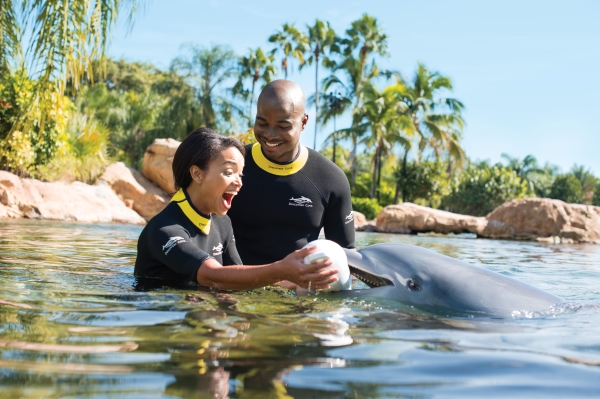 A couple in matching black wetsuits interact with a dolphin while standing in chest-deep water at Discovery Cove.