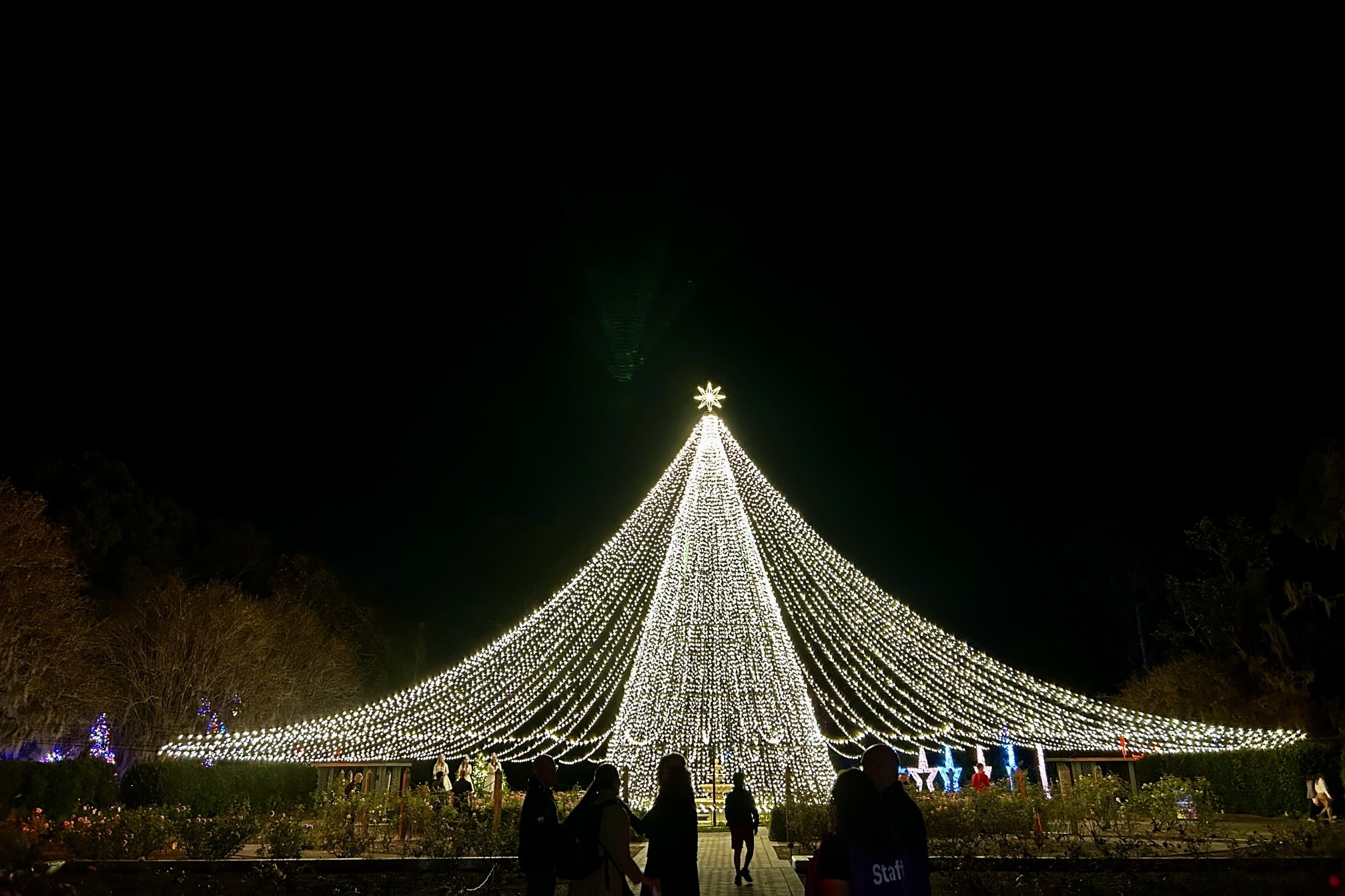 A towering glittering Christmas tree made entirely of lights glowing at night during Dazzling Nights in Orlando, perfect for a winter escape.
