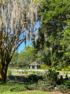 A moss-draped tree frames a small house at Leu Gardens, one of Orlando's best hidden gems