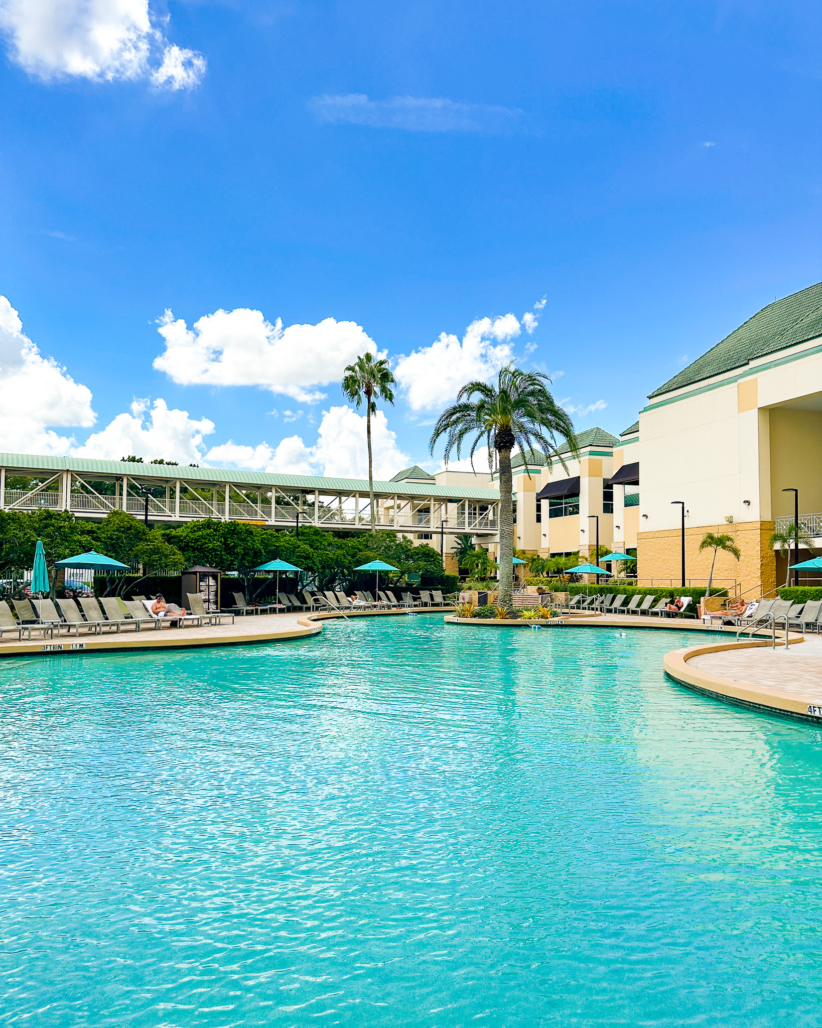An expansive pool curving around the exterior of Rosen Plaza. 