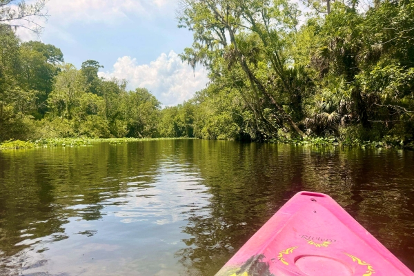 The nose of a pink kayak on the Wekiva River.