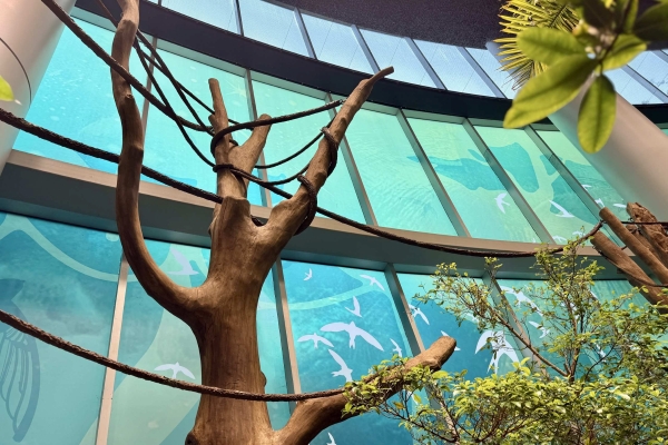 A bare tree with ropes stands tall in front of blue and green panes of glass at the Orlando Science Center.