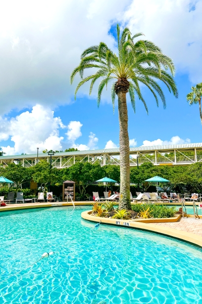 A sparkling pool with a tall palm tree and a second-story Skybridge in the distance, connecting Rosen Plaza to the OCCC.