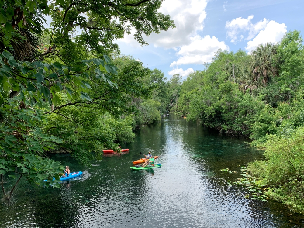 Four people in colorful kayaks float down a river surrounded by lush greenery.