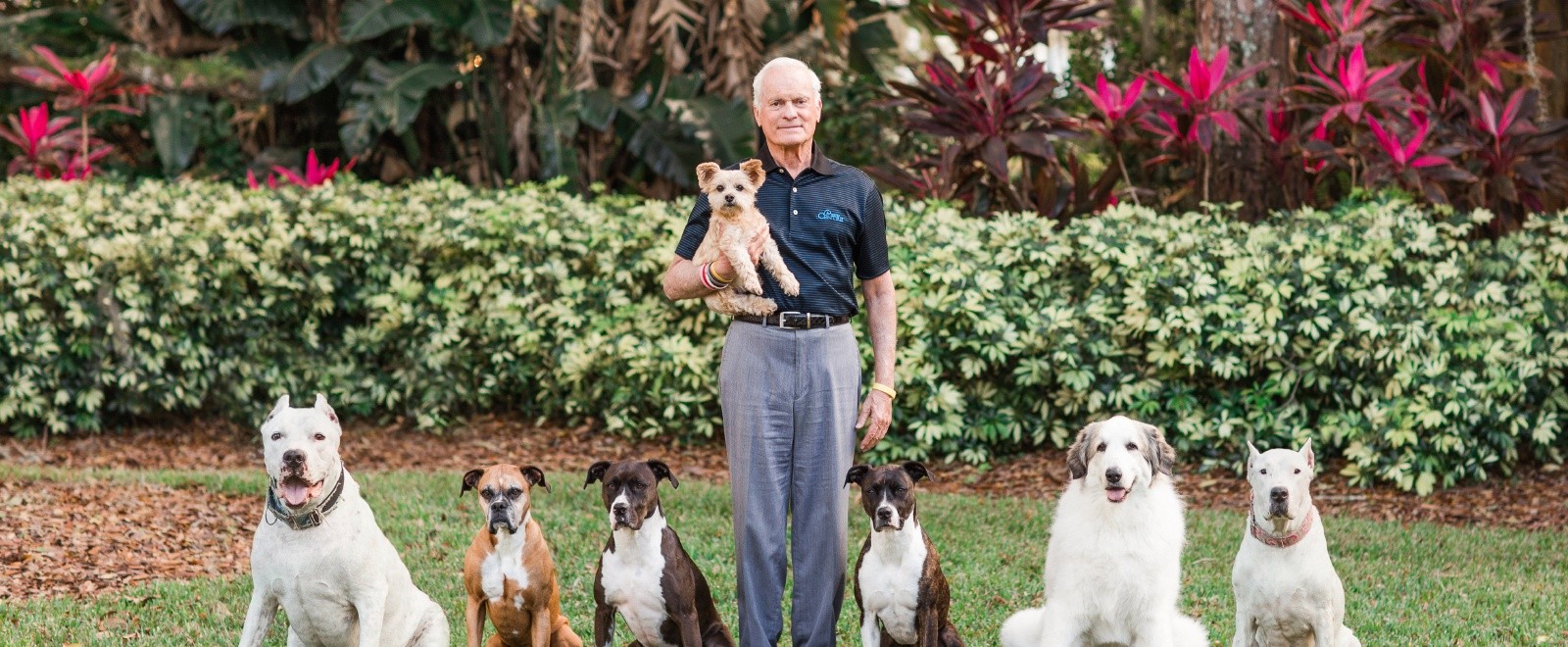 Rosen Plaza is a Dog Friendly Hotel